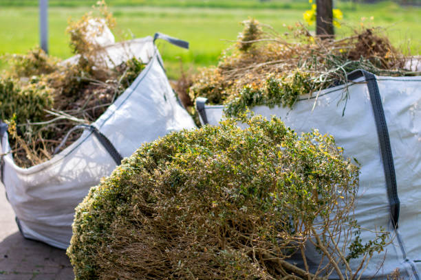 Best Appliance Removal  in Ossun, LA